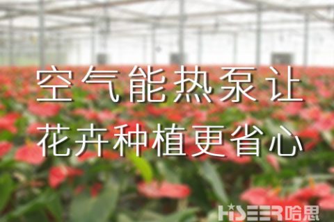 空氣能熱泵讓花卉種植更省心，優(yōu)品率可達(dá)90%以上